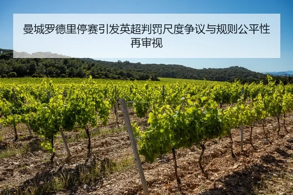 曼城罗德里停赛引发英超判罚尺度争议与规则公平性再审视